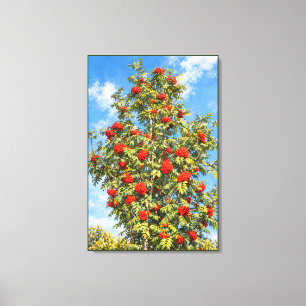 Impressão Em Tela Sorveira Iluminada pelo Sol com Cachos de Frutas V