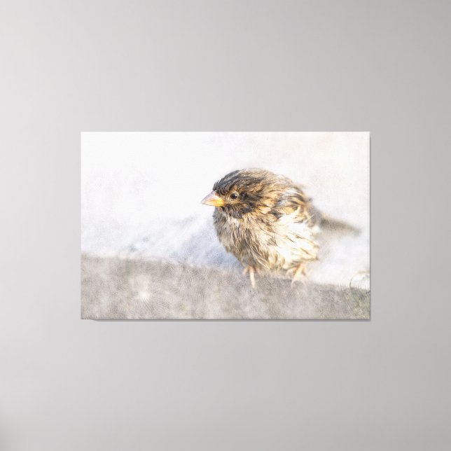 Impressão Em Tela Sparrow - Falha Epic Previsão do Tempo (Frente)