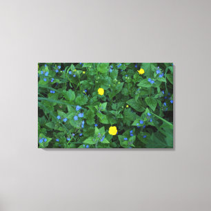 Impressão Em Tela Speedwell e botões de ouro