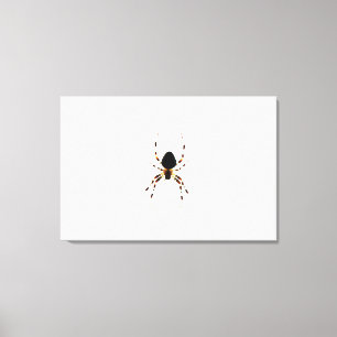 Impressão Em Tela Spider 36x24 (90x60cm) waccn