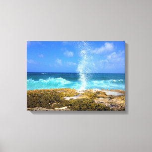 Impressão Em Tela Splash