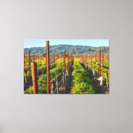 Impressão Em Tela Springtime em um Vineyard