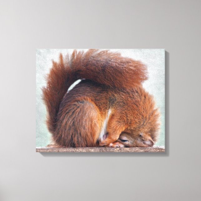 Impressão em Tela Squirrel Yoga Wrapped (Frente)