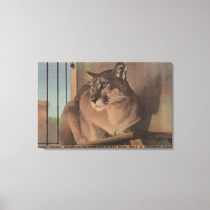 Impressão Em Tela St Petersburg, Florida - imagem de Florida