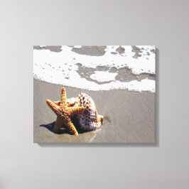 Impressão Em Tela Starfish E Shell