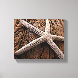 Impressão Em Tela Starfish em Driftwood
