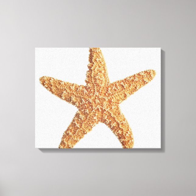 Impressão Em Tela Starfish isolado em branco (Frente)