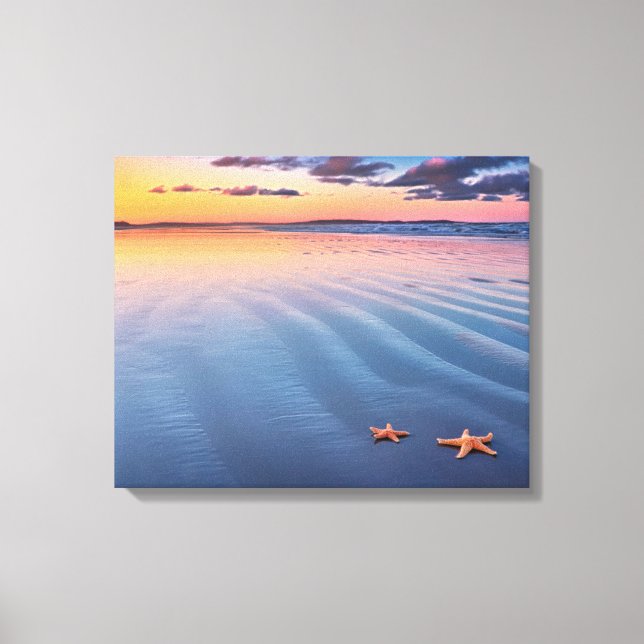 Impressão Em Tela Starfish Na Areia (Frente)