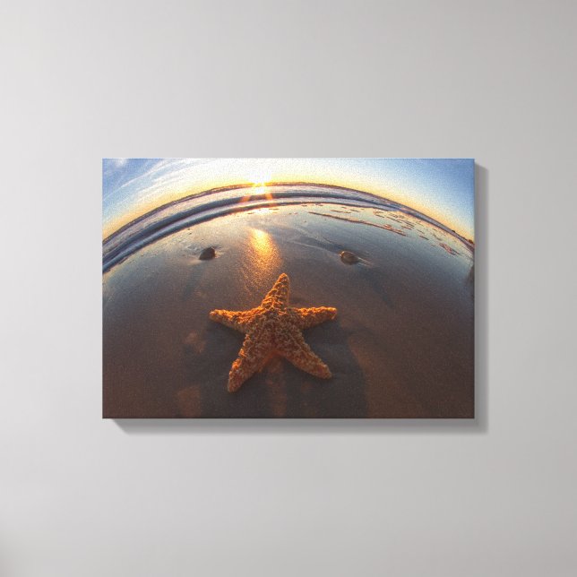 Impressão Em Tela Starfish na praia (Frente)