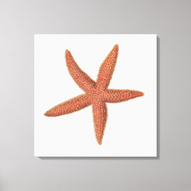 Impressão Em Tela Starfish - Sherman Denton Fish Lithograph (Frente)