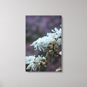 Impressão Em Tela Starry Magnolia 5780