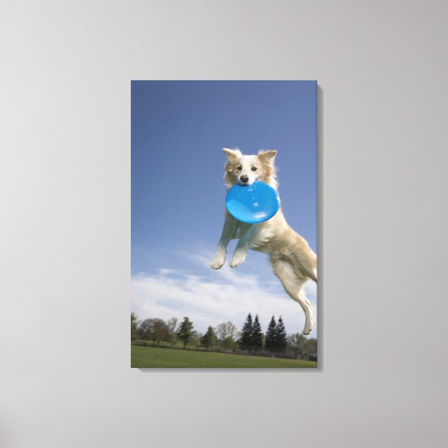 Impressão Em Tela Stockton, Califórnia, EUA (Frente)