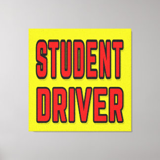 Impressão Em Tela Student Driver