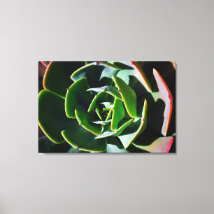 Impressão Em Tela Succulent