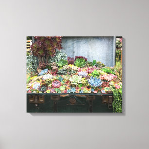 Impressão Em Tela Suculentos no Treasure Chest