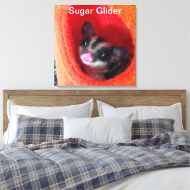 Impressão Em Tela Sugar Glider em cama laranja pendurada