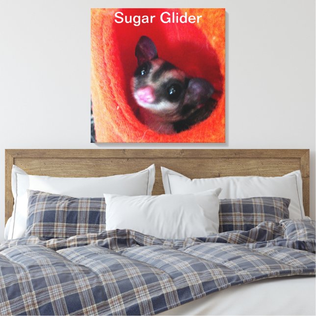 Impressão Em Tela Sugar Glider em cama laranja pendurada (Insitu(Quarto))