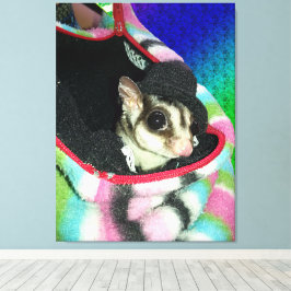 Impressão Em Tela Sugar Glider Usando um Chapéu