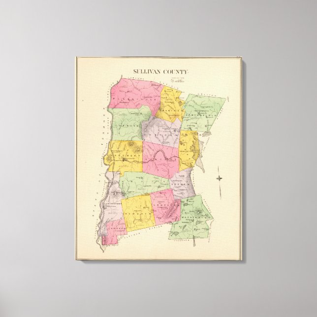 Impressão Em Tela Sullivan (Frente)