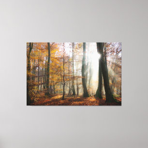 Impressão Em Tela Sun Rays Mystic Misty Forest Envolvido