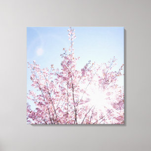 Impressão Em Tela sun rays pass through pink flowers of a wow tree