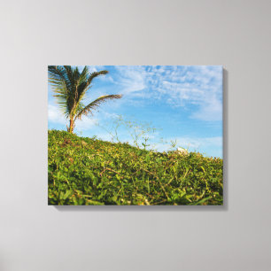 Impressão Em Tela Sunlit Tropical Hillside and Lone Palm 