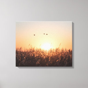 Impressão Em Tela Sunrise Reed Nature Foto