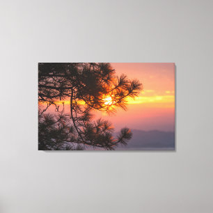 Impressão Em Tela Sunset lindo visualizado através de ramificações d