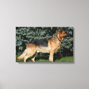 Impressão Em Tela Suporte da mostra do german shepherd