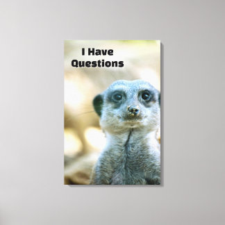 Impressão Em Tela Suricata Engraçada Tenho Perguntas Humor Animal