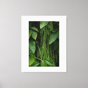 Impressão Em Tela Suspended Nature