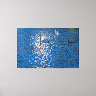 Impressão Em Tela Swan