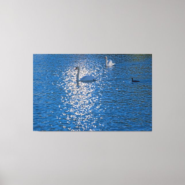 Impressão Em Tela Swan (Frente)