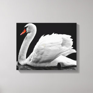 Impressão Em Tela Swan