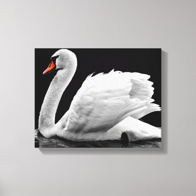 Impressão Em Tela Swan (Frente)