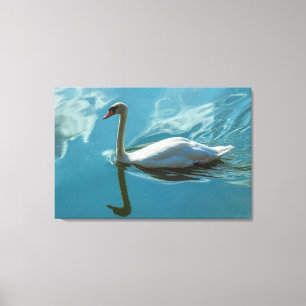 Impressão Em Tela Swan com Reflexões em Nuvem