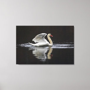 Impressão Em Tela Swan e Reflexões