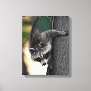 Impressão Em Tela Sweet Baby Raccoon