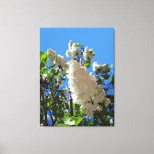 Impressão Em Tela Syringa , Árvore de Flor de Lilás Branco