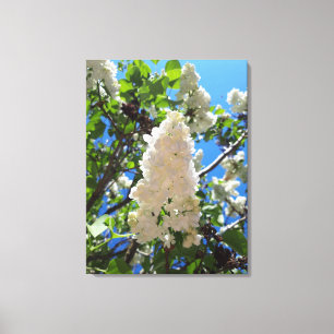 Impressão Em Tela Syringa , Árvore de Flor de Lilás Branco