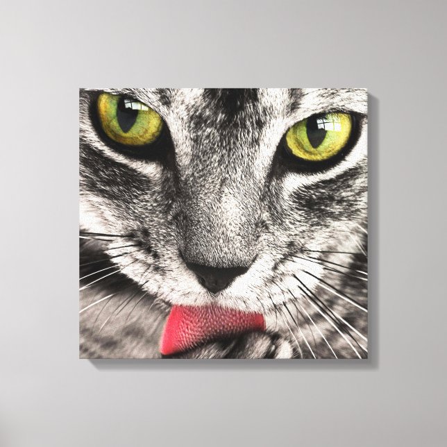 Impressão Em Tela Tabby Cat Licing Paw (Frente)