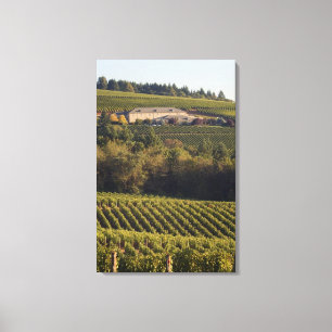 Impressão Em Tela Tan Building Summit fica em cima da colina