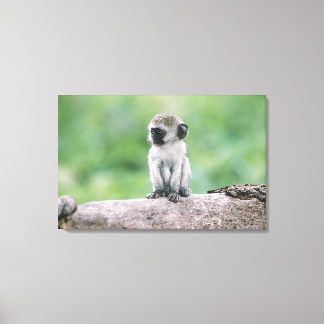 Impressão Em Tela Tanzânia, Cratera Ngorogoro. Encerramento da natur (Frente)