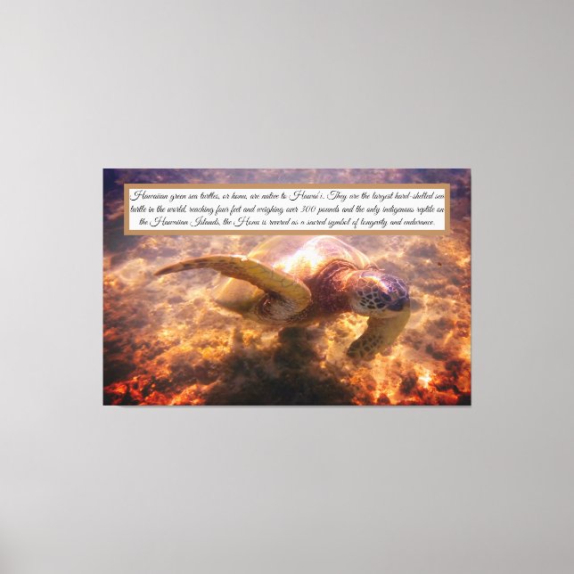 Impressão Em Tela Tartaruga Havaiana nativa (Frente)