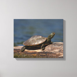 Impressão Em Tela Tartaruga pintada em um tronco