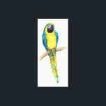 Impressão Em Tela Teal Macaw<br><div class="desc">Teal Macaw II de Grace Popp. Apresenta uma arara especial em cores vivas.</div>