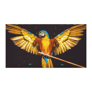 Impressão Em Tela Tela Colorida de Pássaros com Mira de Peixe Colori
