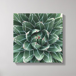Impressão Em Tela Tela da Rainha Victoria Agave