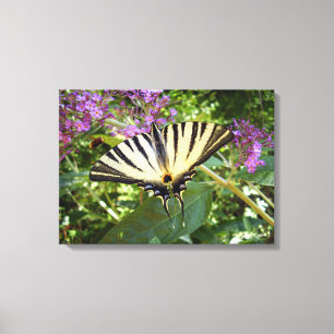 Impressão Em Tela Tela de borboleta de Swallowtail Escassez