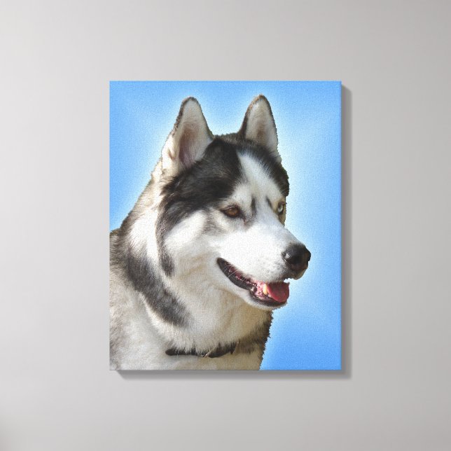 Impressão Em Tela Tela de Cachorro Malamute Husky Esticado com Impre (Frente)